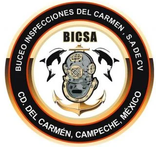 Logo-BICSA-320x301